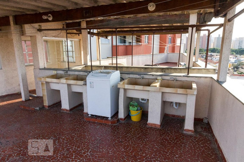 Apartamento Para Aluguel - Vila Carrão, 1 Quarto, 60 - 892896960