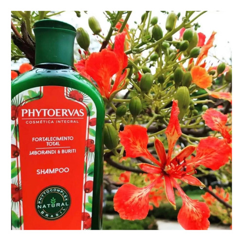 Kit Phytoervas Fortalecimento Total Shampoo + Cond 250m