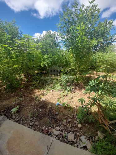 Imagen 14 de 16 de Amplia Casa Con Un Gran Patio En Santiago Llanos De Gurabo (jpc-215)