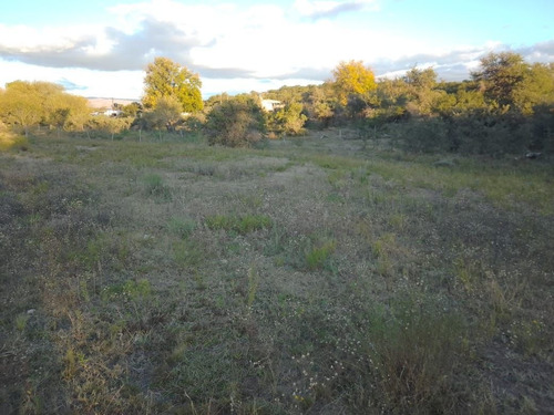 Imagen 11 de 28 de T056pa Amplios Terrenos De 1.350 M2 En Panaholma, A 300 Mts Del Río