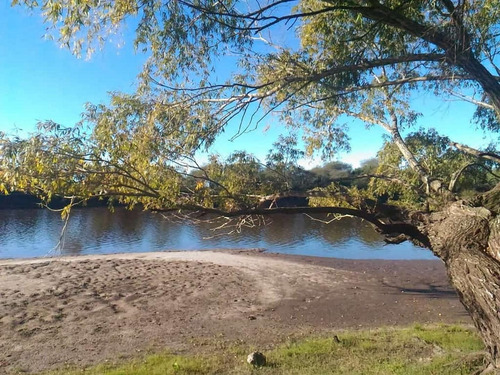 Imagen 6 de 8 de Chacra En Venta Zona Rio Gualeyán