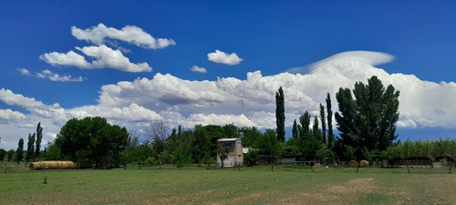 Finca De Cinco Has Con Casa En La Escandinaba General Alvear