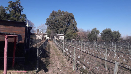 Imagen 17 de 22 de Finca En San Rafael