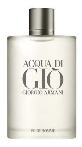 Perfume Giorgio Armani Acqua Di Gio 100ml Original Caballero