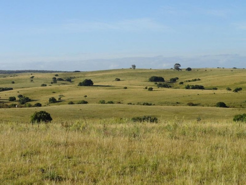 Campo En Venta En Garzón Rural