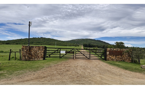 Vende Chacras De 15 Hectáreas - Chacras De La Sierras - Lavalleja
