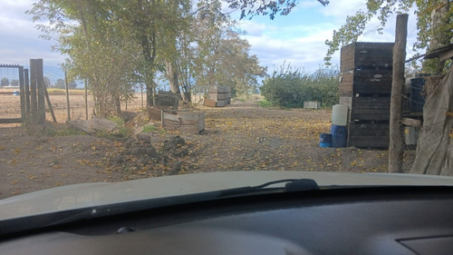 Agrícola, Hoy Semillera, Agua De Riego, Full Conexión Vial