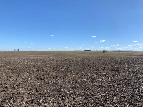 Imagen 3 de 6 de Campo En Venta De 2000000m2 Ubicado En Lobería