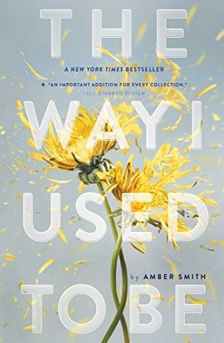 The Way I Used To Be, De Amber Smith. Editorial Margaret K Mcelderry Books, Tapa Blanda En Inglés