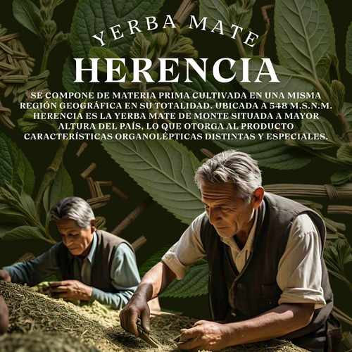 Yerba Mate Con Palo Anti Acidez Herencia Pack X 10 U