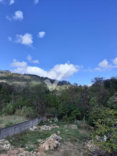 Imagem 5 de 13 de Chácara À Venda Em Portão - Ch003627