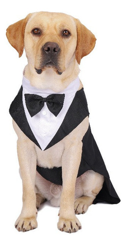 Traje De Boda/vestir Para Perro Con Pajarita