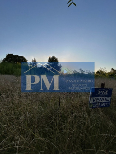Terrenos Sobre Avenida En Venta, Tapalqué