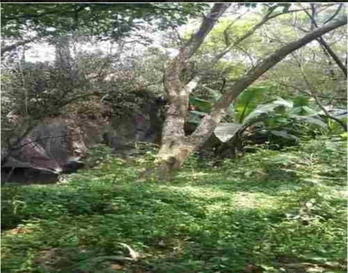 Imagen 2 de 3 de Venta Terreno En Coyoacan