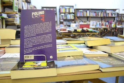 Todo Lo Que Vi. Polino. (Usado)