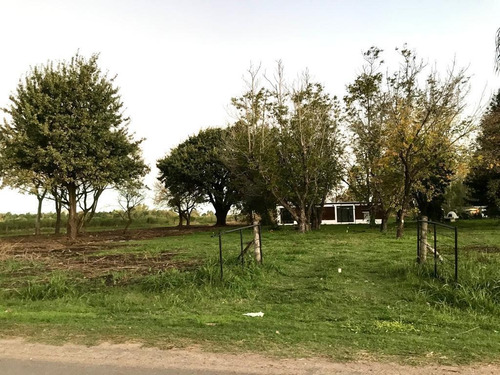 Imagen 19 de 30 de Terreno - Ibarlucea