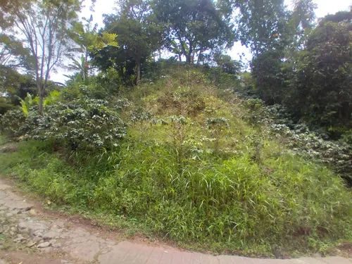 Hermosa Finca, Al Pie De La Carretera, Con Espacio Suficiente Para Hacerle Piscina Y Todo