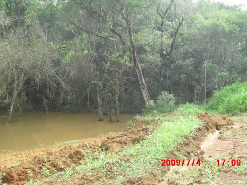 Imagem 10 de 13 de 4 Terrenos No Bairro Do Cupim
