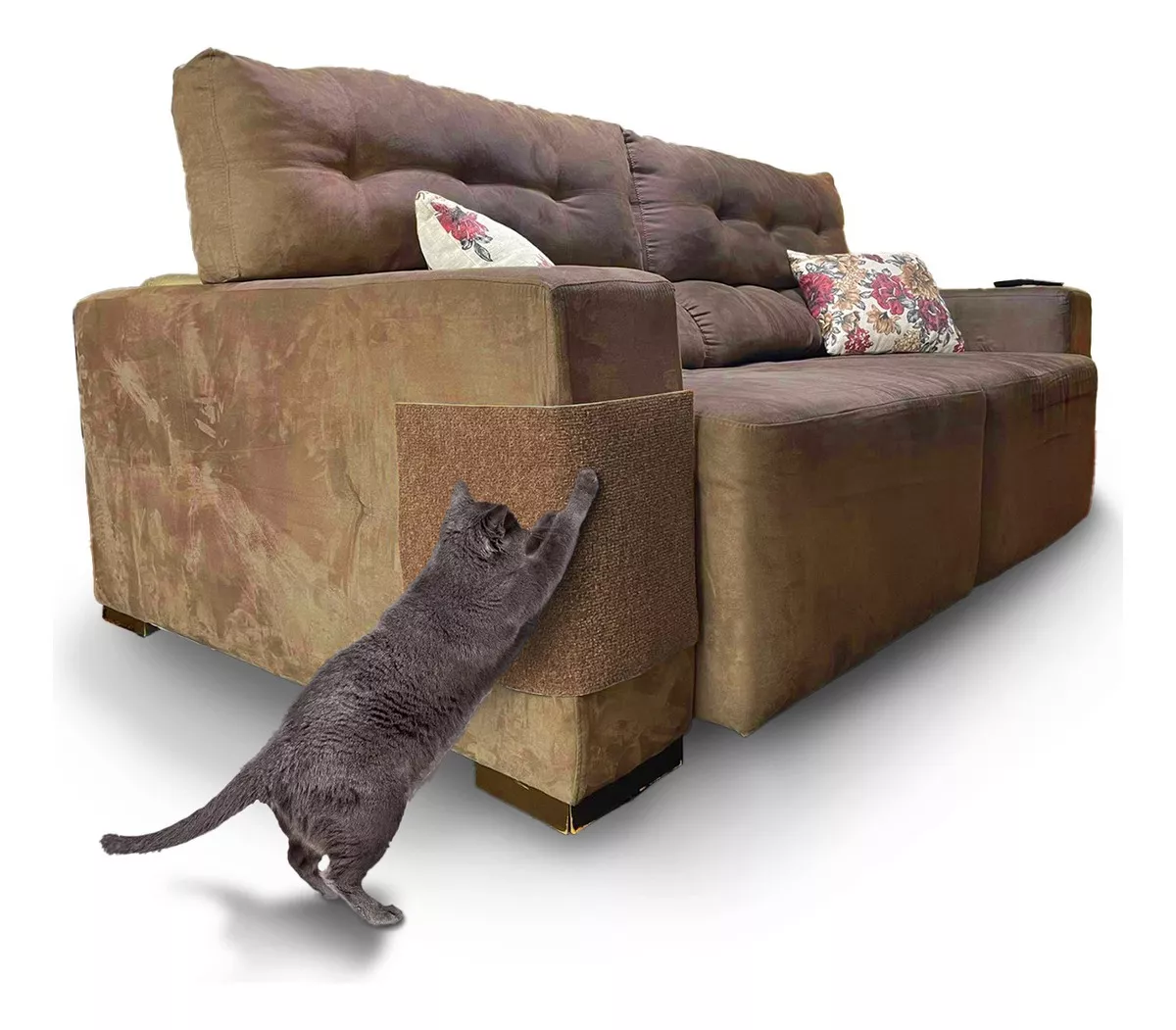 Terceira imagem para pesquisa de carpete adesivo gato