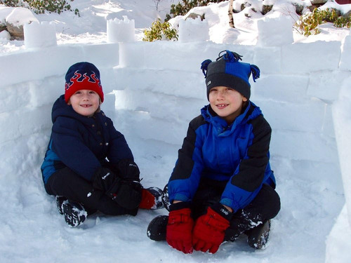 Flexible Flyer Snow Fort Building Block, Molde De Castill...