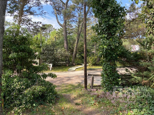 Imagen 3 de 11 de Terreno - Punta Del Este