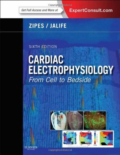 Cardiac Electrophysiology - From Cell To Bedside