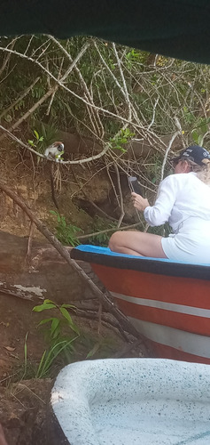 Tour A Monkey Islands Y 4 Destinos Con Panama 507 Tours