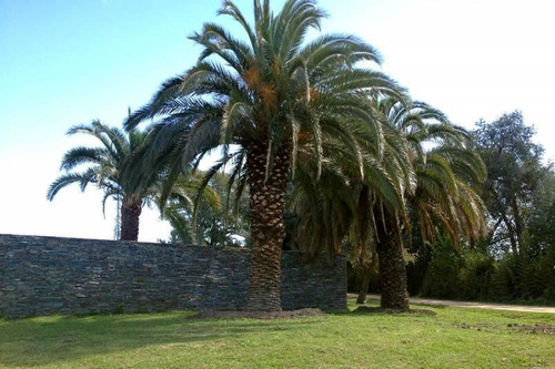 Imagen 4 de 29 de Oportunidad Venta De Amplio Lote En La Mejor Zona De Polo - Caspian Polo Chacras
