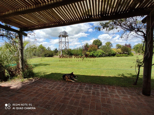 Imagen 22 de 30 de Venta De Chacra Sobre Ruta 9 A 30 Km De Jose Ignacio