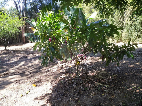 Imagem 5 de 15 de Propriedade Rural-são Paulo-grajaú | Ref.: Reo491273 - Reo491273