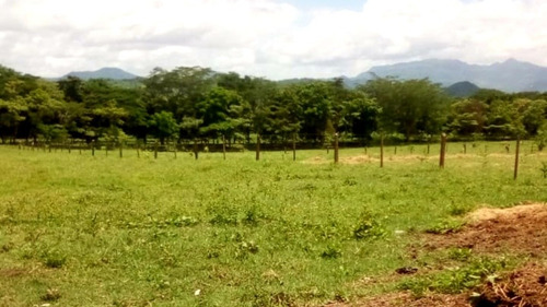 Imagen 1 de 12 de 520 Mzs Sébaco - Matagalpa