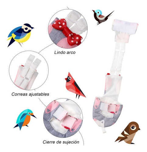 Adecuado Para Loros No Mojarse
