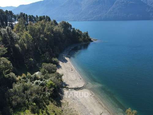 Parcela 5000 M2 Lago Riñihue Ribera Sur. Región Los Ríos