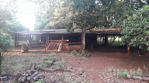 Imagen 13 de 30 de Chacra - Posadas