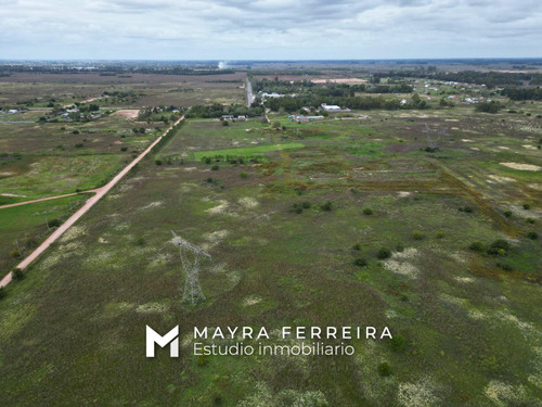 Venta De 4o Hectareas En Estaban Echeverria .canning