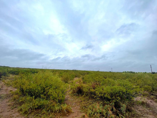 Imagen 2 de 7 de Venta De Campo, Lujan De Cuyo, Mendoza
