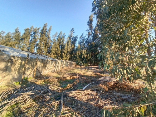 Se Vende Preciosa Parcela Agrícola