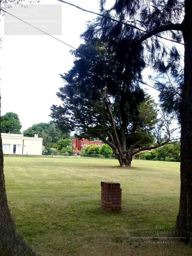 Imagen 4 de 18 de Gb Propiedades- Hermoso Lote En Venta- La Otilia