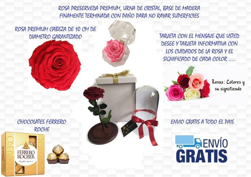 Rosa Preservada-eterna 100% Natural + Tarjeta + Envio Grati | Envío gratis