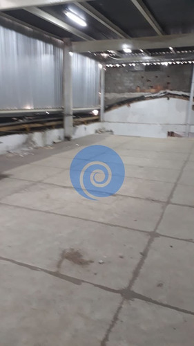 Imagem 8 de 14 de Galpão / Depósito / Armazém No Cambuci - São Paulo - 3377