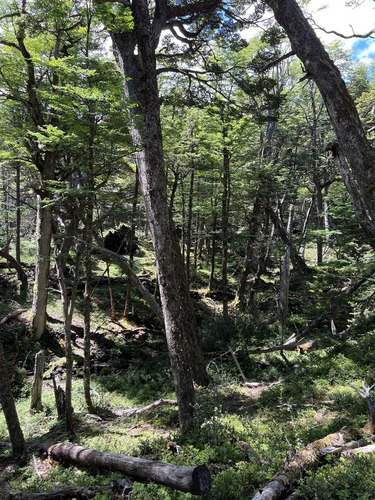 Sitio En Venta En Río Ibáñez