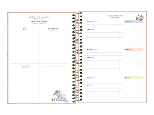Agenda 2024 Tilibra Planner Semanal 177x240 Ursinho Pooh Rsa