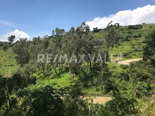 Imagen 3 de 14 de Terreno En Venta
