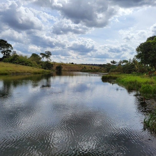 Chacara A Venda Em Goianira 40.000m2