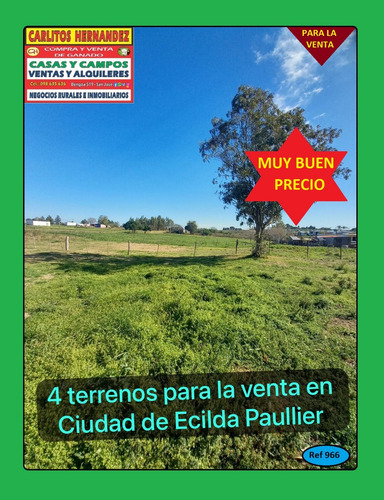 2) Apartamentos, Locales Comerciales, Terrenos, Casas, Chacras, Campos, Galpones, Estancias, P.h. , Para La Venta Y Para Alquilar, Arrendar, En San José