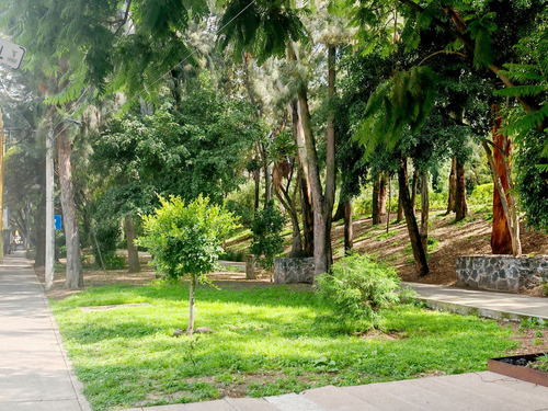 Casa En Venta En Coyoacán, Col. Prado Churubusco