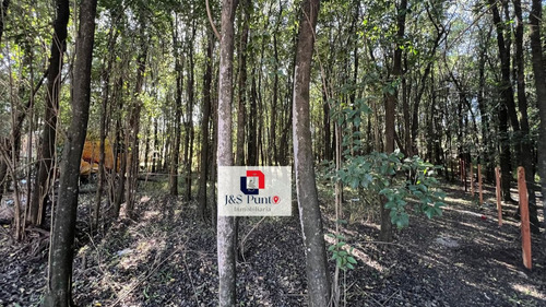 Lote En Villa Catalina