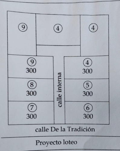Emprendimiento 9 Lotes. Villa Udaondo.