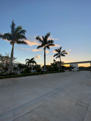 Imagen 3 de 30 de Terreno/lote En Venta En Mérida, Cholul En Privada Albarella