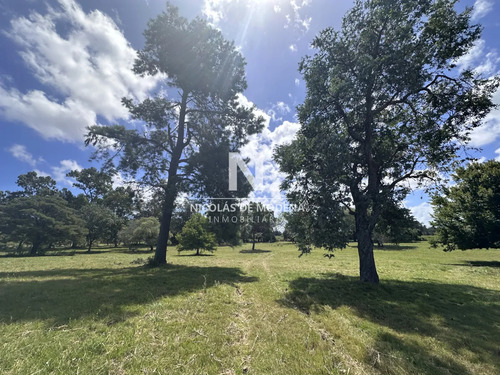 Vende Terreno Ideal Para Desarrollo De Barrio Privado. Punta Del Este